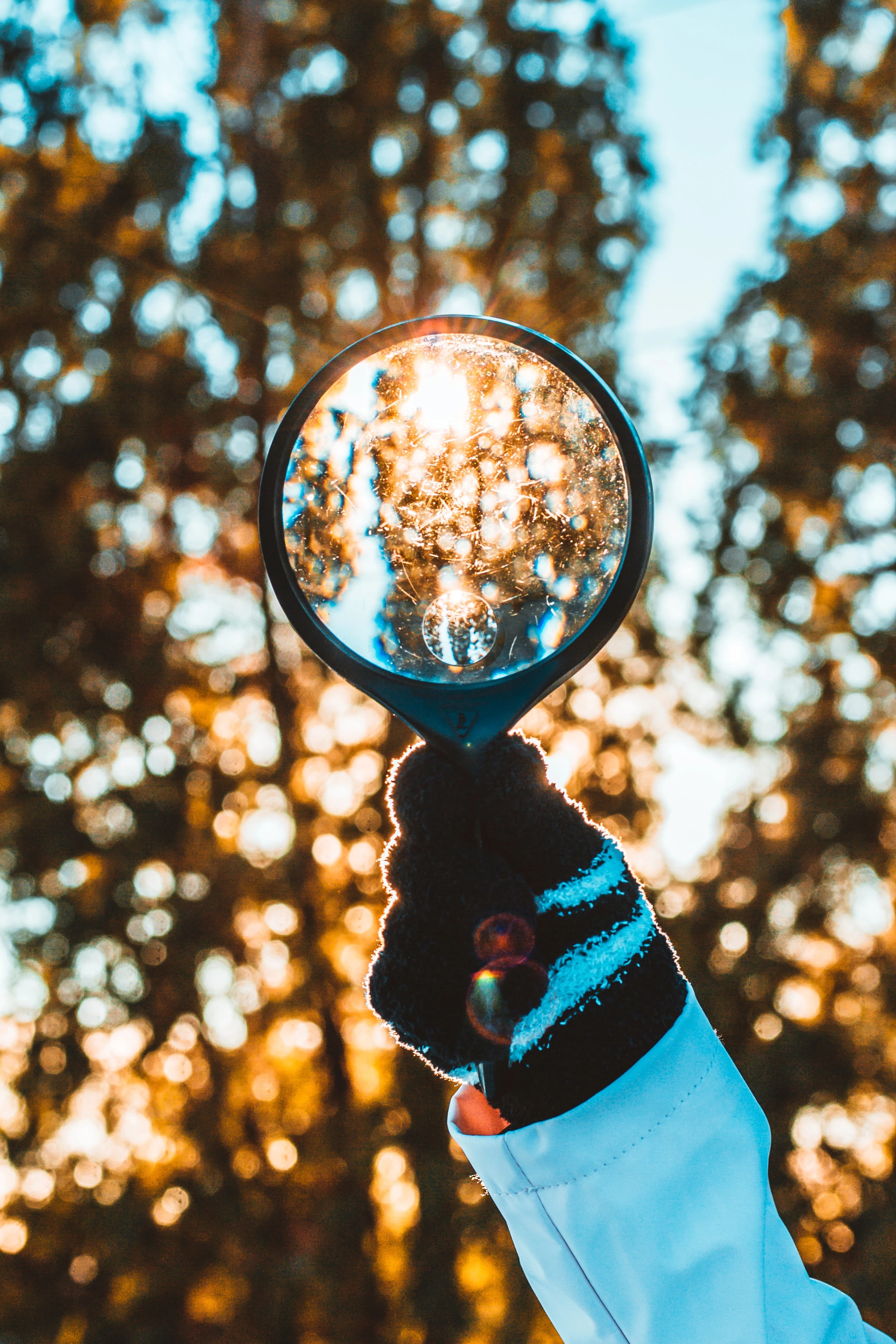 Predicting the Future with Machine Learning